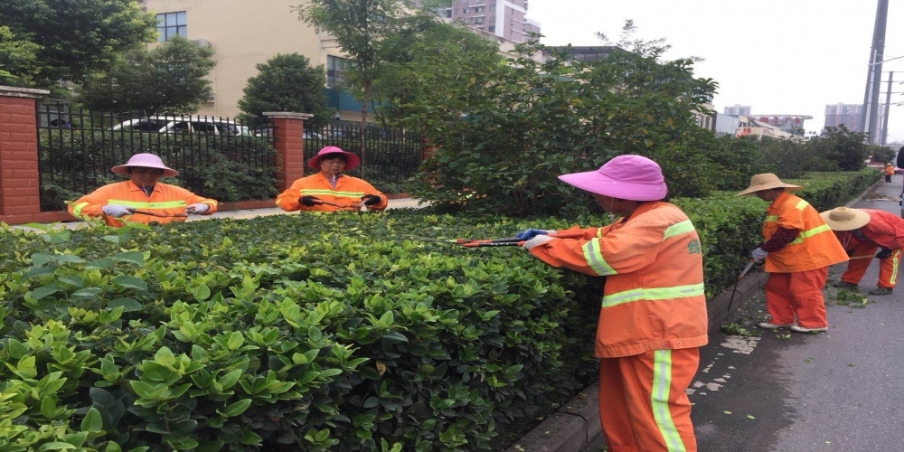 新站區(qū)道路清掃保潔、綠化管養(yǎng)項(xiàng)目