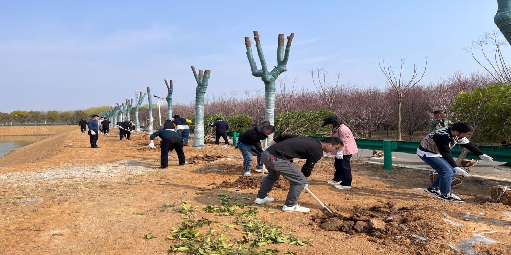 黨建引領(lǐng)共植綠 凝心聚力譜新篇 ——和合生態(tài)、德嘉置業(yè)黨支部赴小廟基地義務(wù)植樹